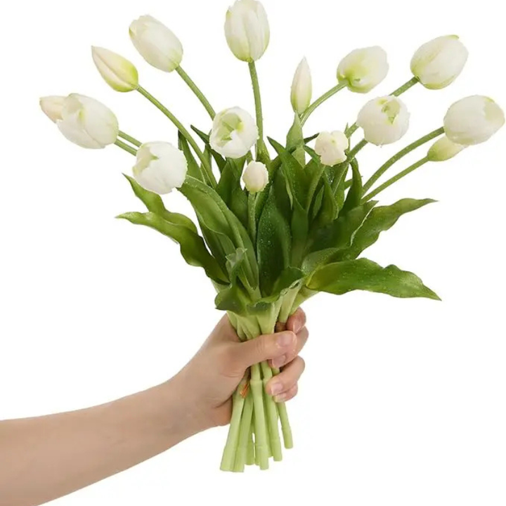 EverBlomst™ – Naturtro Tulipaner