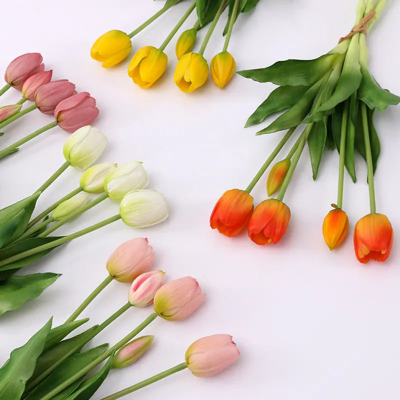 EverBlomst™ – Naturtro Tulipaner