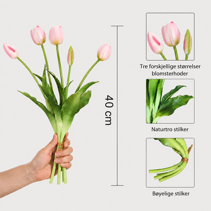 EverBlomst™ – Naturtro Tulipaner